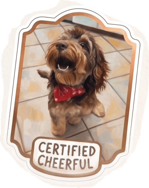Paisley, our cavapoo, on her “Certified Cheerful” sticker portrait